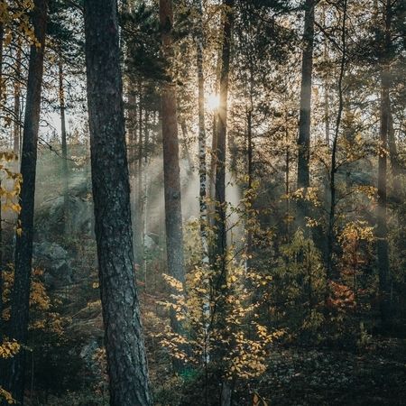 pexels-dimka-nevedimka-9809192