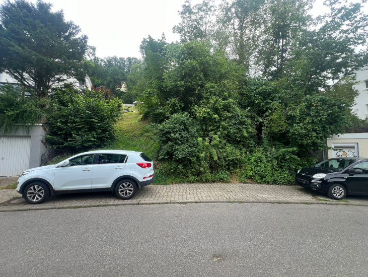 Immobilienscout-7